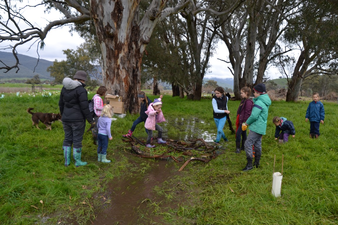 Revegetation